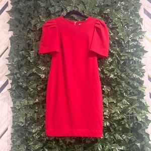 Calving Klein size 6 new with tags